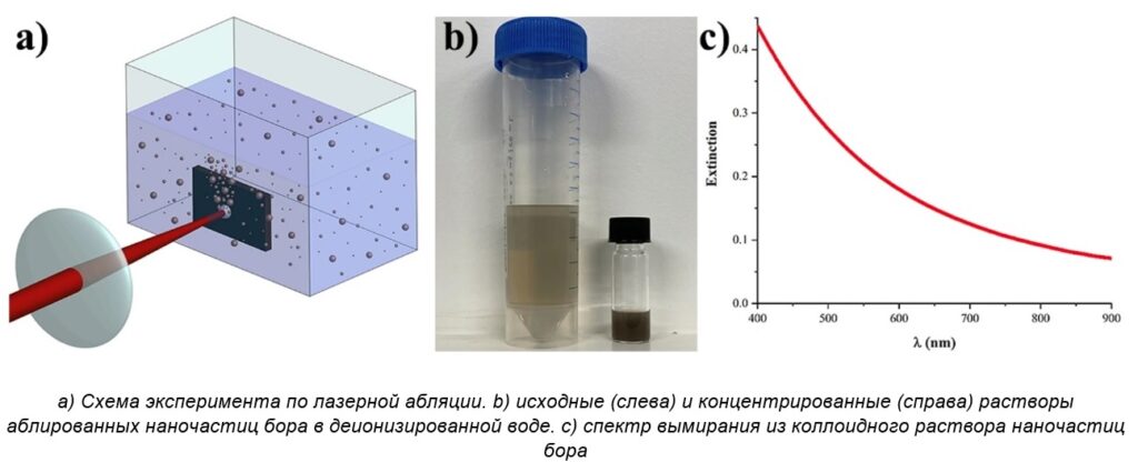 Лазерно-абляционный водный синтез и характеристика элементарных наночастиц бора для биомедицинских применений